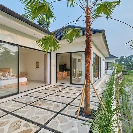 Newly! 3Bdr Modern Villa Close To Ubud Center Exterior foto